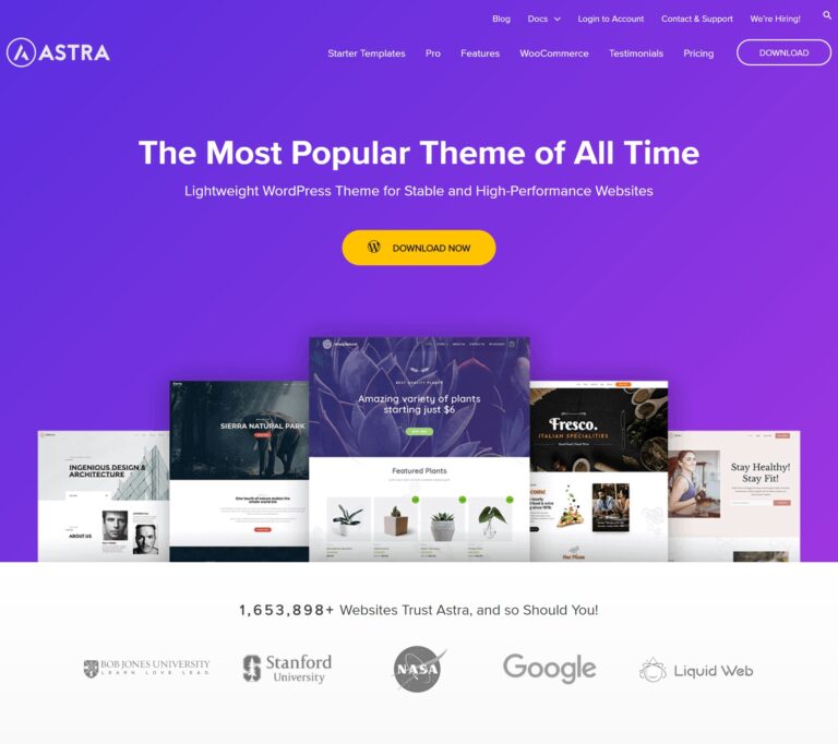 Top 5 WooCommerce Themes of 2024 - Astra